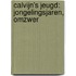 Calvijn's Jeugd: Jongelingsjaren, Omzwer