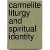 Carmelite Liturgy and Spiritual Identity door James J. Boyce
