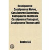 Cassipourea: Cassipourea Hiotou, Cassipo door Onbekend