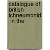 Catalogue Of British Ichneumonid  In The door Thomas Desvignes