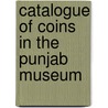Catalogue Of Coins In The Punjab Museum door Richard Bertram Whitehead