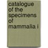 Catalogue Of The Specimens Of Mammalia I