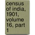 Census of India, 1901, Volume 16, Part 1
