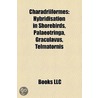 Charadriiformes: Hybridisation In Shoreb by Books Llc