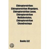 Chiropterotriton: Chiropterotriton Magni door Onbekend