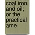 Coal Iron, And Oil; Or The Practical Ame