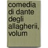 Comedia Di Dante Degli Allagherii, Volum
