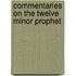 Commentaries On The Twelve Minor Prophet