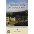 Communion Of Immigrants Updated Ed Ral P