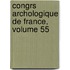 Congrs Archologique de France, Volume 55