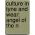 Culture In Tyne And Wear: Angel Of The N