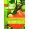 Das große Ulmer-Buch der Zitruspflanzen by Peter Klock