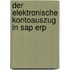 Der Elektronische Kontoauszug In Sap Erp