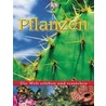 Die Welt erleben und verstehen. Pflanzen door Fleur Star