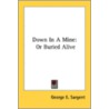 Down In A Mine: Or Buried Alive by Unknown