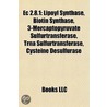 Ec 2.8.1: Lipoyl Synthase, Biotin Syntha by Unknown
