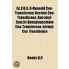 Ec 2.8.3: 3-Oxoacid Coa-Transferase, Ace door Onbekend