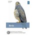 Ecolog & Environ Physiol Of Birds Eeps C