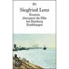 Einstein überquert die Elbe bei Hamburg door Siegfried Lenz