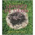 El Ciclo de Vida de la Lombriz de Tierra