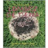 El Ciclo de Vida de la Lombriz de Tierra door Bobbie Kalman