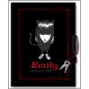 Emily's "Nothing To Hide?" Locking Diary door Chronicle Books
