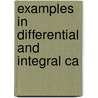 Examples In Differential And Integral Ca door C.S. 1867-1916 Jackson