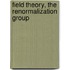 Field Theory, the Renormalization Group