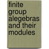 Finite Group Alegebras And Their Modules door P. Landrock