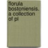 Florula Bostoniensis. A Collection Of Pl