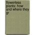Flowerless Plants: How And Where They Gr