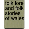 Folk Lore And Folk Stories Of Wales door Onbekend