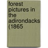 Forest Pictures In The Adirondacks (1865 door Onbekend