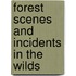 Forest Scenes And Incidents In The Wilds