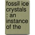 Fossil Ice Crystals : An Instance Of The