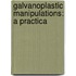 Galvanoplastic Manipulations: A Practica