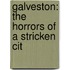 Galveston: The Horrors Of A Stricken Cit