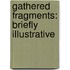 Gathered Fragments: Briefly Illustrative