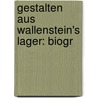 Gestalten Aus Wallenstein's Lager: Biogr door Hermann Hallwich