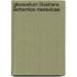 Glossarium Illustrans Bohemico-Moravicae