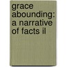Grace Abounding: A Narrative Of Facts Il by Unknown