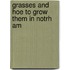 Grasses And Hoe To Grow Them In Notrh Am