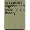 Grassmann Algebra and Determinant Theory by Tamara G. Stryzhak