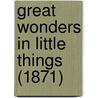 Great Wonders In Little Things (1871) by Unknown