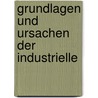 Grundlagen Und Ursachen Der Industrielle door Willhelm Offergeld