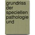 Grundriss Der Speciellen Pathologie Und