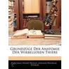 Grundz Ge Der Anatomie Der Wirbellosen T by Thomas Henry Huxley