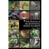 Helm Dictionary Of Scientific Bird Names