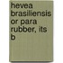 Hevea Brasiliensis Or Para Rubber, Its B