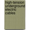 High-Tension Underground Electric Cables door Henry Floy
